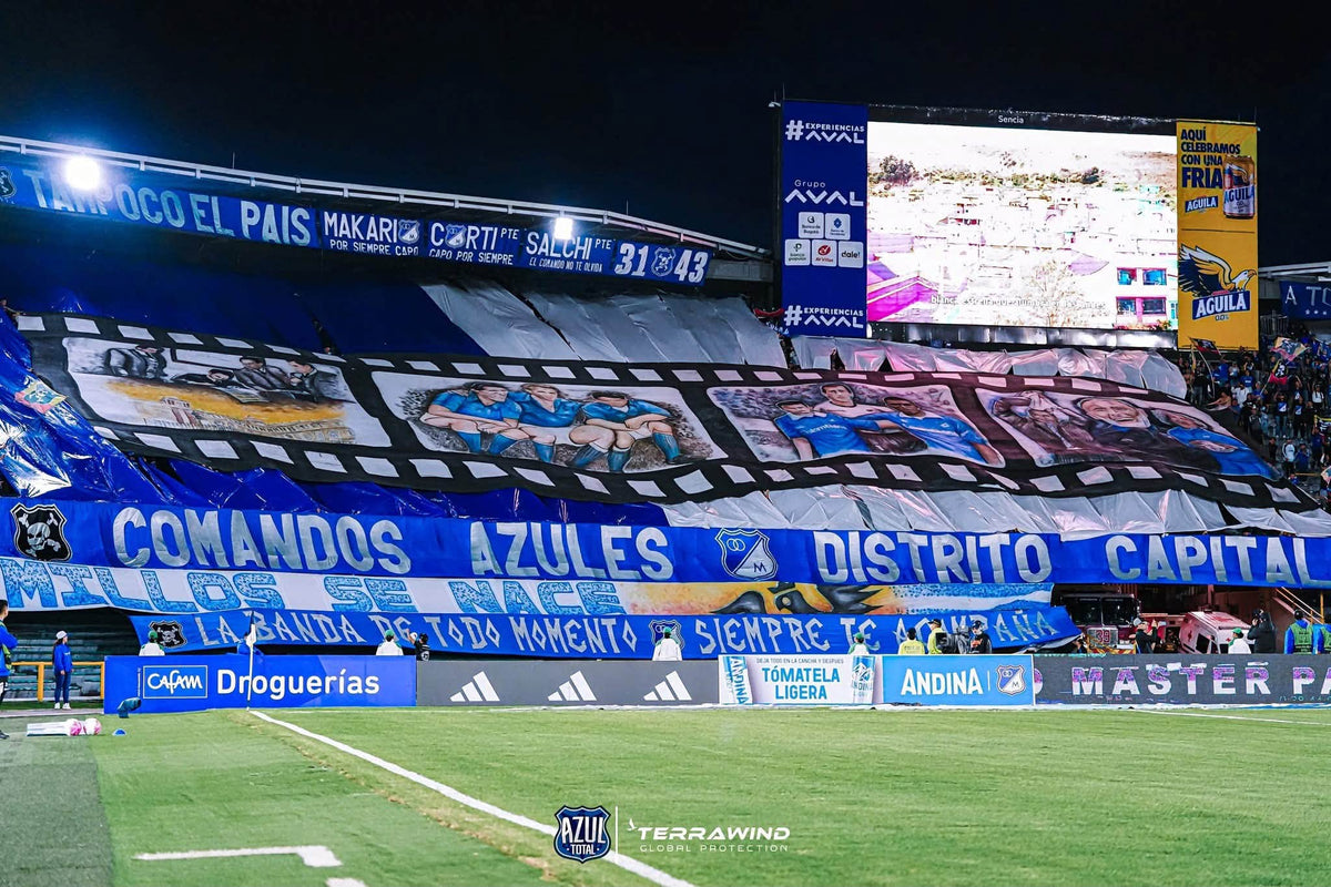 El Ballet se divirtió con el felino en la cancha y en la norte